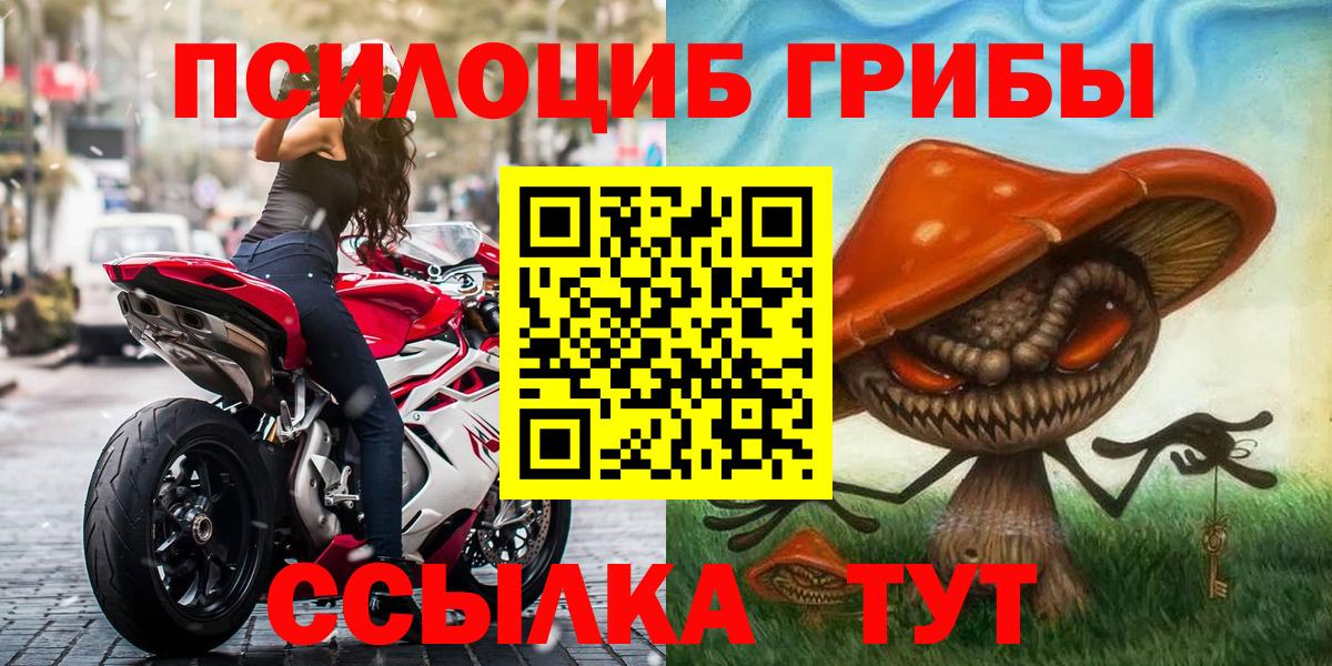 Галлюциногенные грибы Psilocybe  Вход с VPN  Вологда 