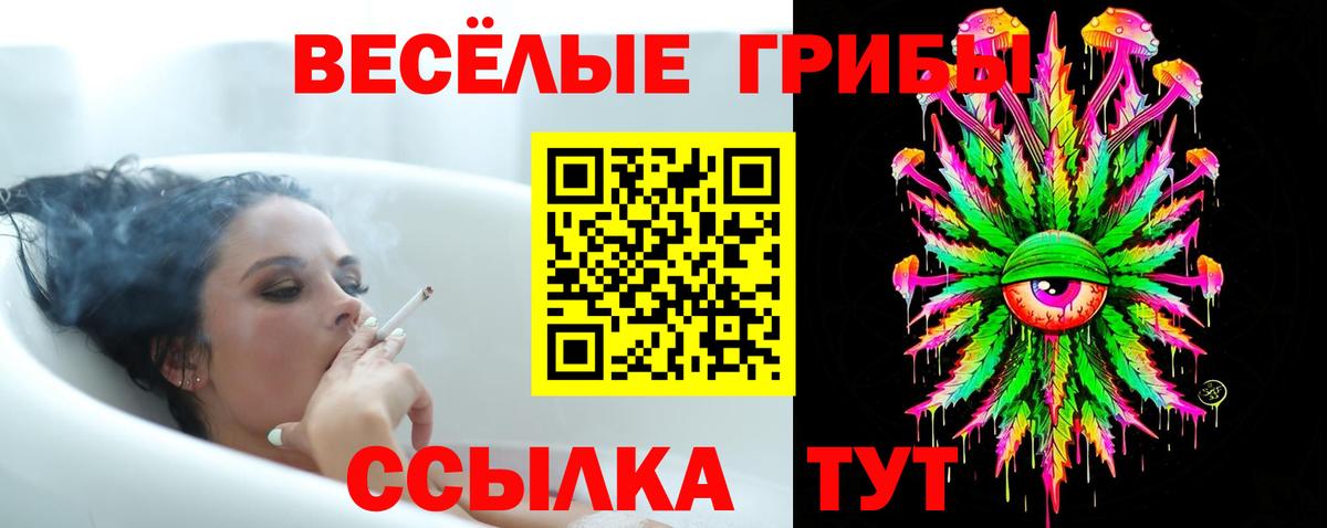 Псилоцибиновые грибы Psilocybine cubensis Вологда